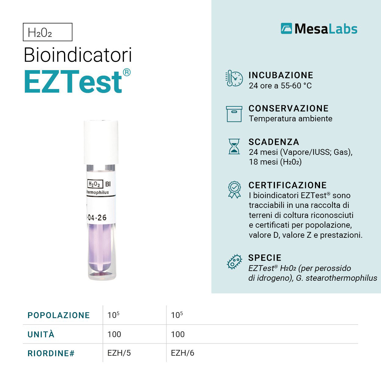 24-sito-web-schede-con-specifiche-tecniche-H2O2-bozza03